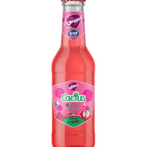 نوشابه گازدار با طعم کاکتوس 250 میلی لیتری جنیوس